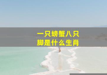 一只螃蟹八只脚是什么生肖