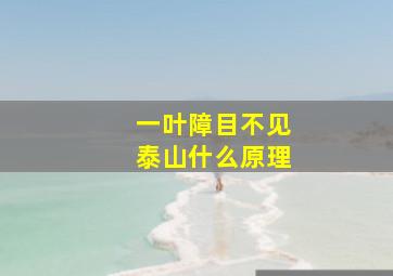 一叶障目不见泰山什么原理