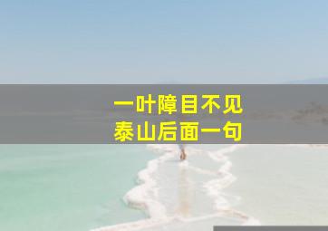 一叶障目不见泰山后面一句