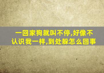 一回家狗就叫不停,好像不认识我一样,到处躲怎么回事