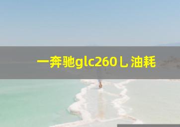 一奔驰glc260乚油耗