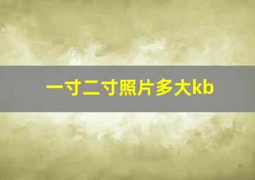 一寸二寸照片多大kb