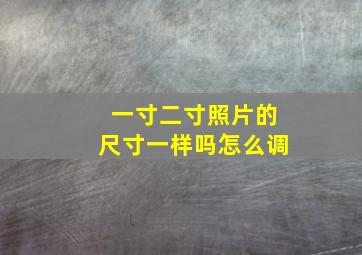 一寸二寸照片的尺寸一样吗怎么调