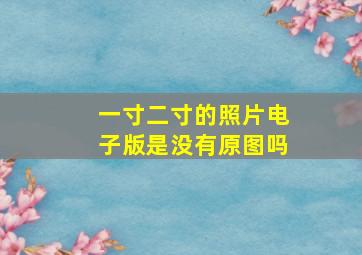 一寸二寸的照片电子版是没有原图吗