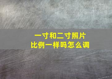 一寸和二寸照片比例一样吗怎么调