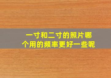 一寸和二寸的照片哪个用的频率更好一些呢