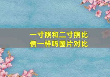 一寸照和二寸照比例一样吗图片对比