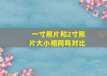 一寸照片和2寸照片大小相同吗对比