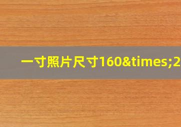 一寸照片尺寸160×250