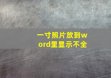 一寸照片放到word里显示不全