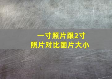 一寸照片跟2寸照片对比图片大小