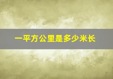 一平方公里是多少米长