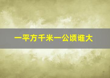 一平方千米一公顷谁大