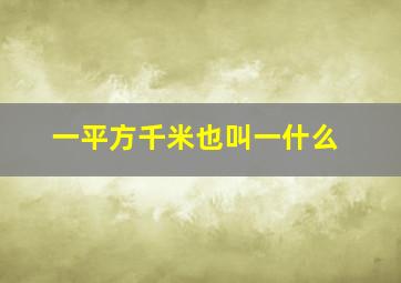 一平方千米也叫一什么