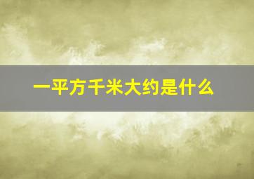 一平方千米大约是什么