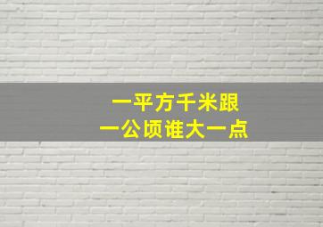 一平方千米跟一公顷谁大一点