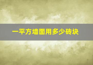 一平方墙面用多少砖块