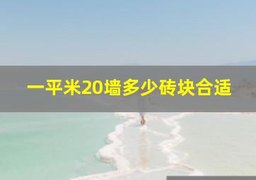 一平米20墙多少砖块合适