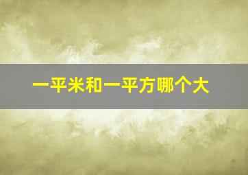 一平米和一平方哪个大