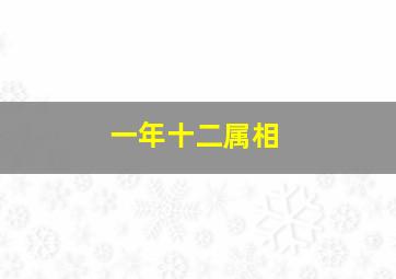 一年十二属相