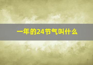 一年的24节气叫什么