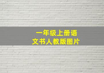 一年级上册语文书人教版图片