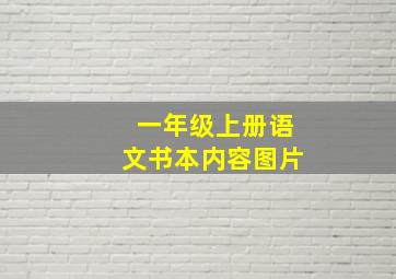 一年级上册语文书本内容图片