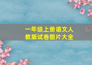 一年级上册语文人教版试卷图片大全