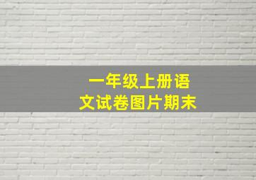 一年级上册语文试卷图片期末