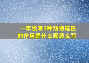 一年级写5种动物尾巴的作用是什么呢怎么写