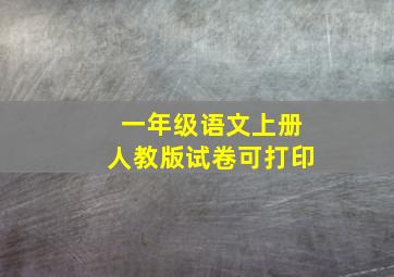 一年级语文上册人教版试卷可打印