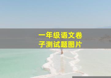 一年级语文卷子测试题图片