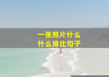 一张照片什么什么排比句子