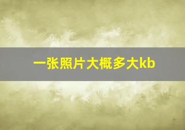 一张照片大概多大kb