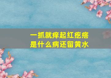 一抓就痒起红疙瘩是什么病还留黄水