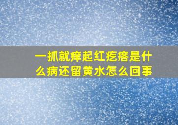 一抓就痒起红疙瘩是什么病还留黄水怎么回事