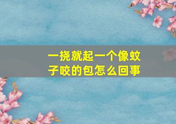 一挠就起一个像蚊子咬的包怎么回事