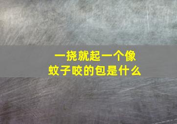 一挠就起一个像蚊子咬的包是什么