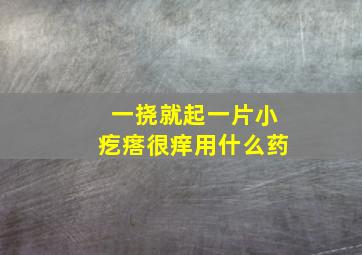 一挠就起一片小疙瘩很痒用什么药