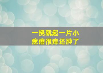 一挠就起一片小疙瘩很痒还肿了