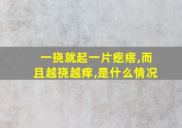 一挠就起一片疙瘩,而且越挠越痒,是什么情况