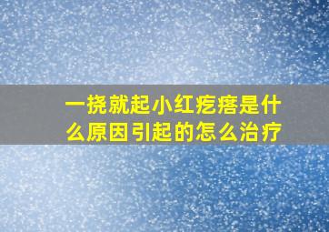 一挠就起小红疙瘩是什么原因引起的怎么治疗