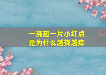 一挠起一片小红点是为什么越挠越痒