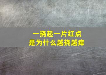 一挠起一片红点是为什么越挠越痒