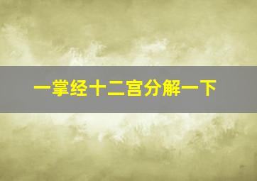 一掌经十二宫分解一下