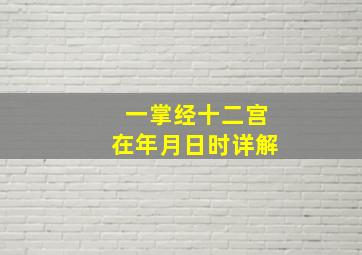 一掌经十二宫在年月日时详解