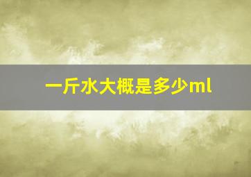 一斤水大概是多少ml