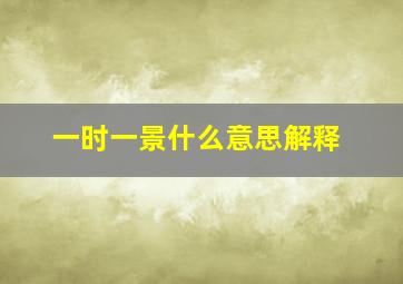 一时一景什么意思解释