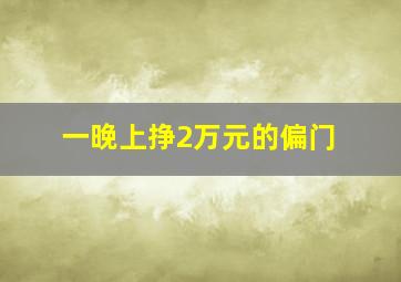 一晚上挣2万元的偏门