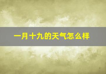 一月十九的天气怎么样